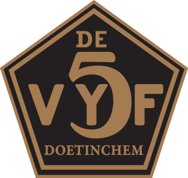 Logo de VIJF